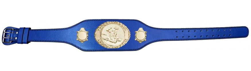 MMA CHAMPIONSHIP BELT-BUD295/G/MMAG-4 COLOURS